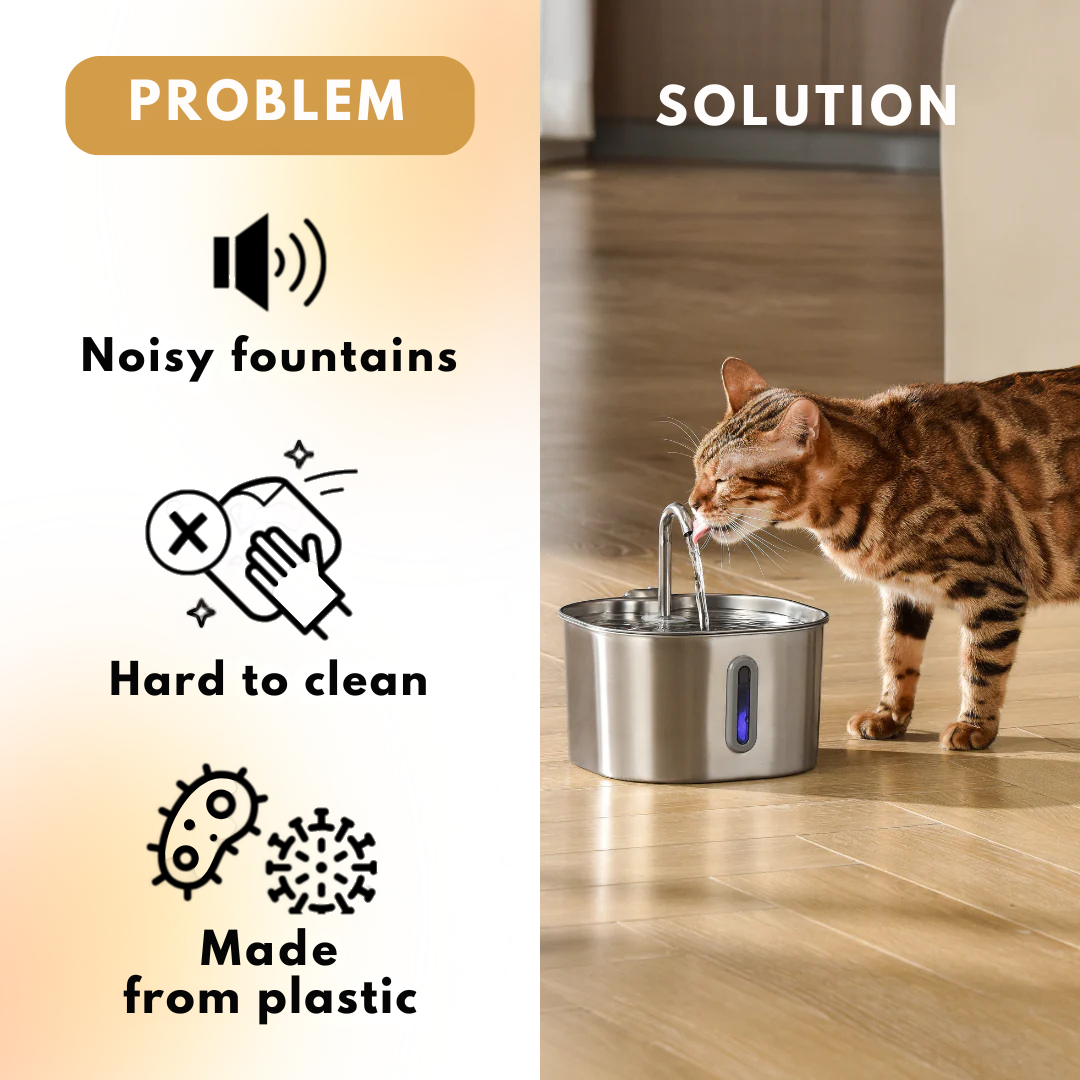 AquaVital™ Fountain 2.0