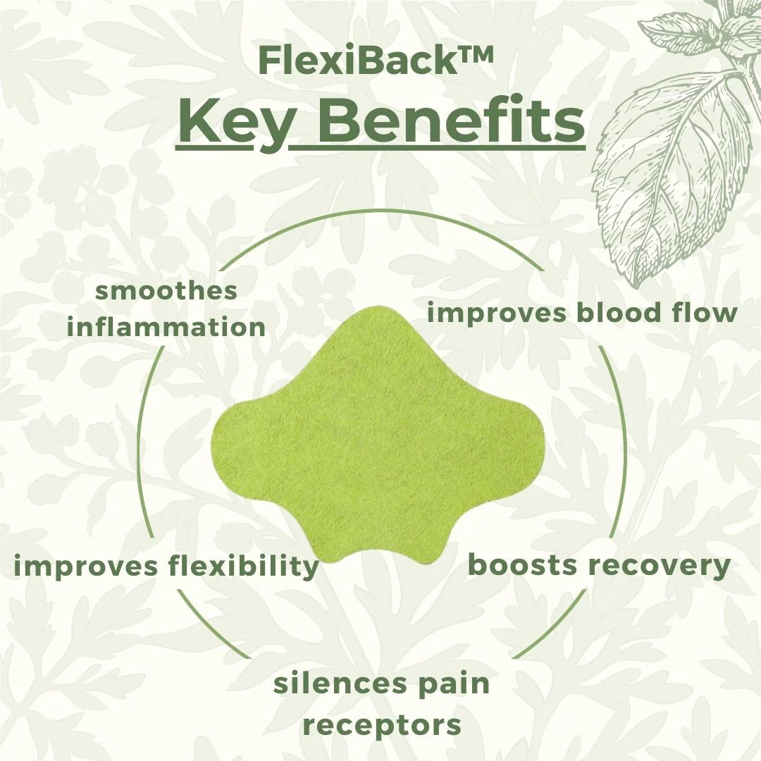 Back pain relief- 12 patches