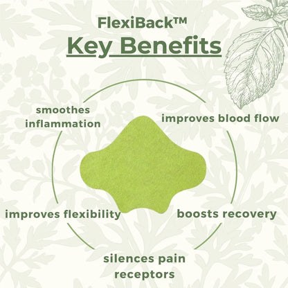 Back pain relief- 12 patches