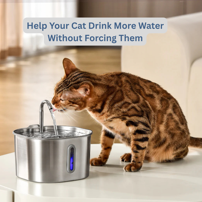AquaVital™ Fountain 2.0